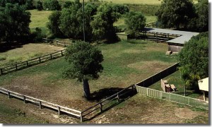 stable1.jpg